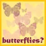butterflies
