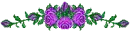 purple roses - div