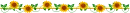 sunflowers - div