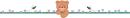 teddy bear bees - div