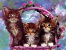 Cats