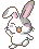 bunny