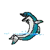 dolphins