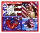 AMERICAN FLAG