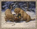TWO DOGS WITH A DUCK