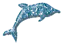 Blue Dolphine