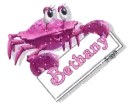 Sparkling Crabby - Bethany
