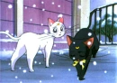 luna Artemis