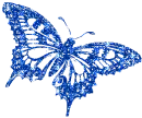 blue butterfly