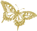 gold butterfly