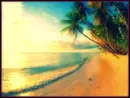 THE BEACH!!!!