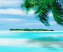 WOW,THE BEACH