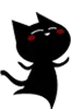 black kitty