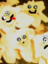flower's moods
