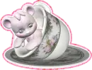 bear in a cup