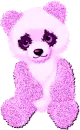 pink teddy
