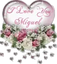I love you Miguel