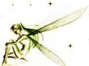 FAERY