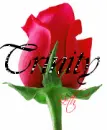 Trinity