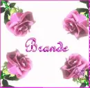 Brande