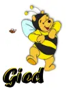 Gied 