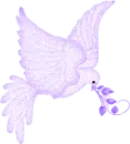 purple- dove