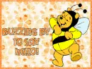 Buzzing By To Say Hello!