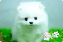 hug me