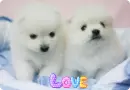 love me