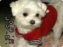 love me
