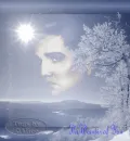 ELVIS