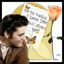 ELVIS