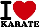 I LOVE KARATE