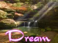 Dream