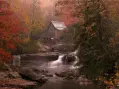 Falls