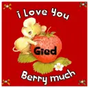 Gied