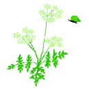 green-flowers
