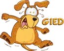 Gied