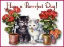 Have a Purrrfect Day!