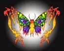 butterfly