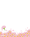 cute divider