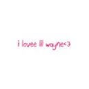 I Lovee Lil Wayne