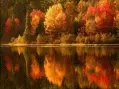 Fall Trees and pond