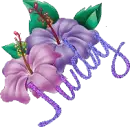 Judy