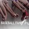 Baseball Fan