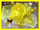 yellow flower