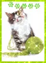 cat playing with yarn