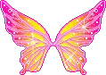 Orange and Pink Wings