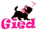 Gied