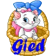 Gied